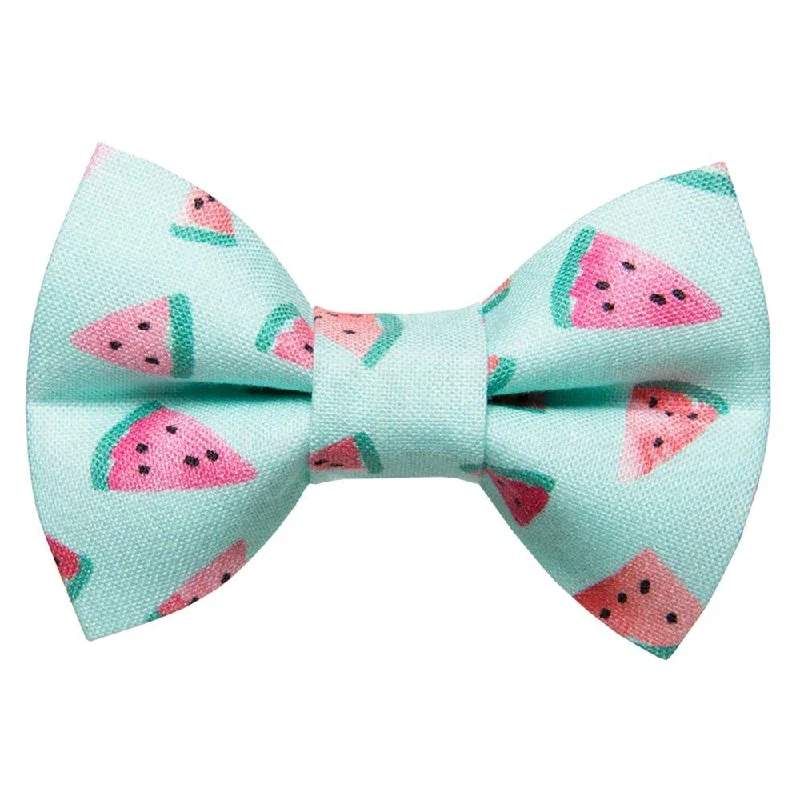 The One in a Melon - Cat / Dog Bow Tie - Limited Edition