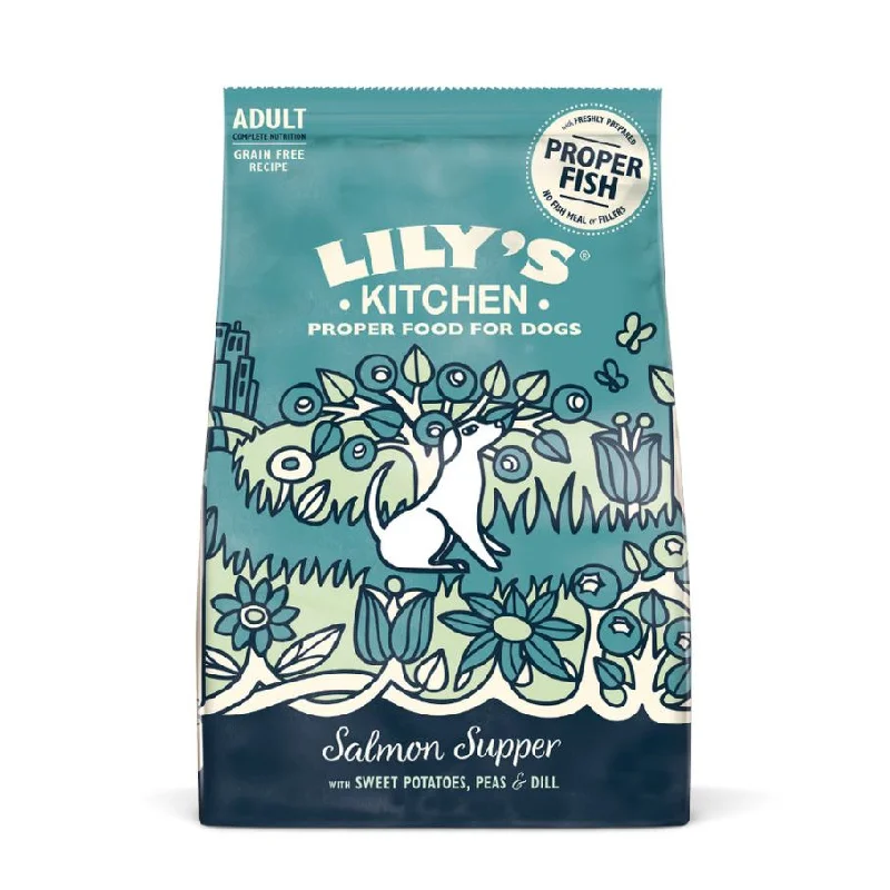 Lily's Kitchen Salmon Supper Adult Dry Dog Food