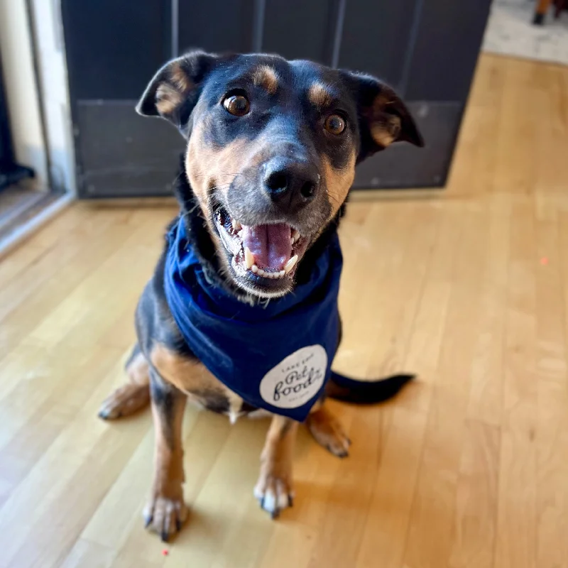 Logo Bandana