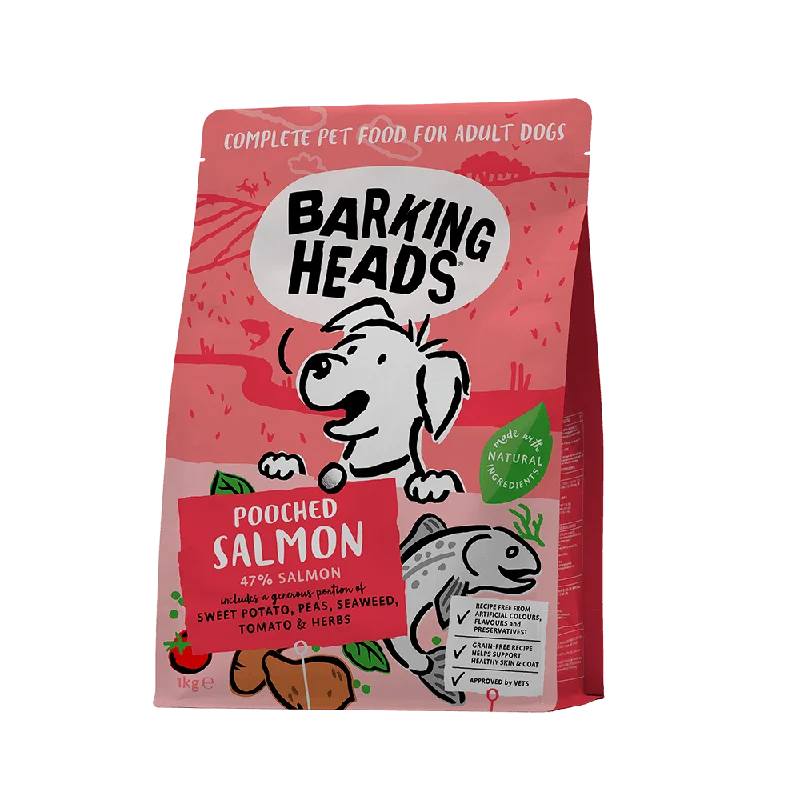 Barking Heads - Fusspot (Salmon & Potato) - 2kg