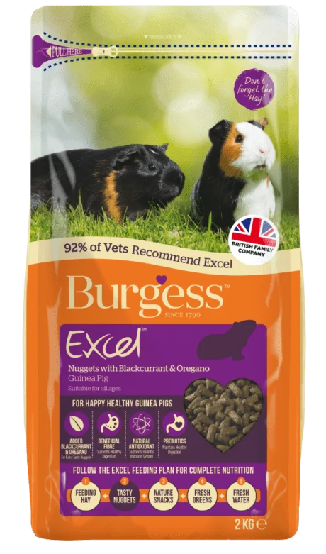 Burgess - Excel Guinea Pig Blackcurrant and Oregano - 2kg